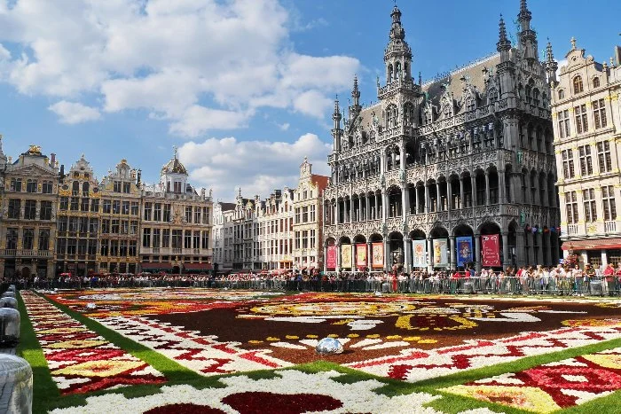 Flowers create a display in a square in Brussels