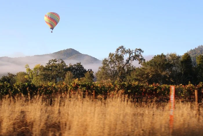 hot air balloon flying over fields near a mountain