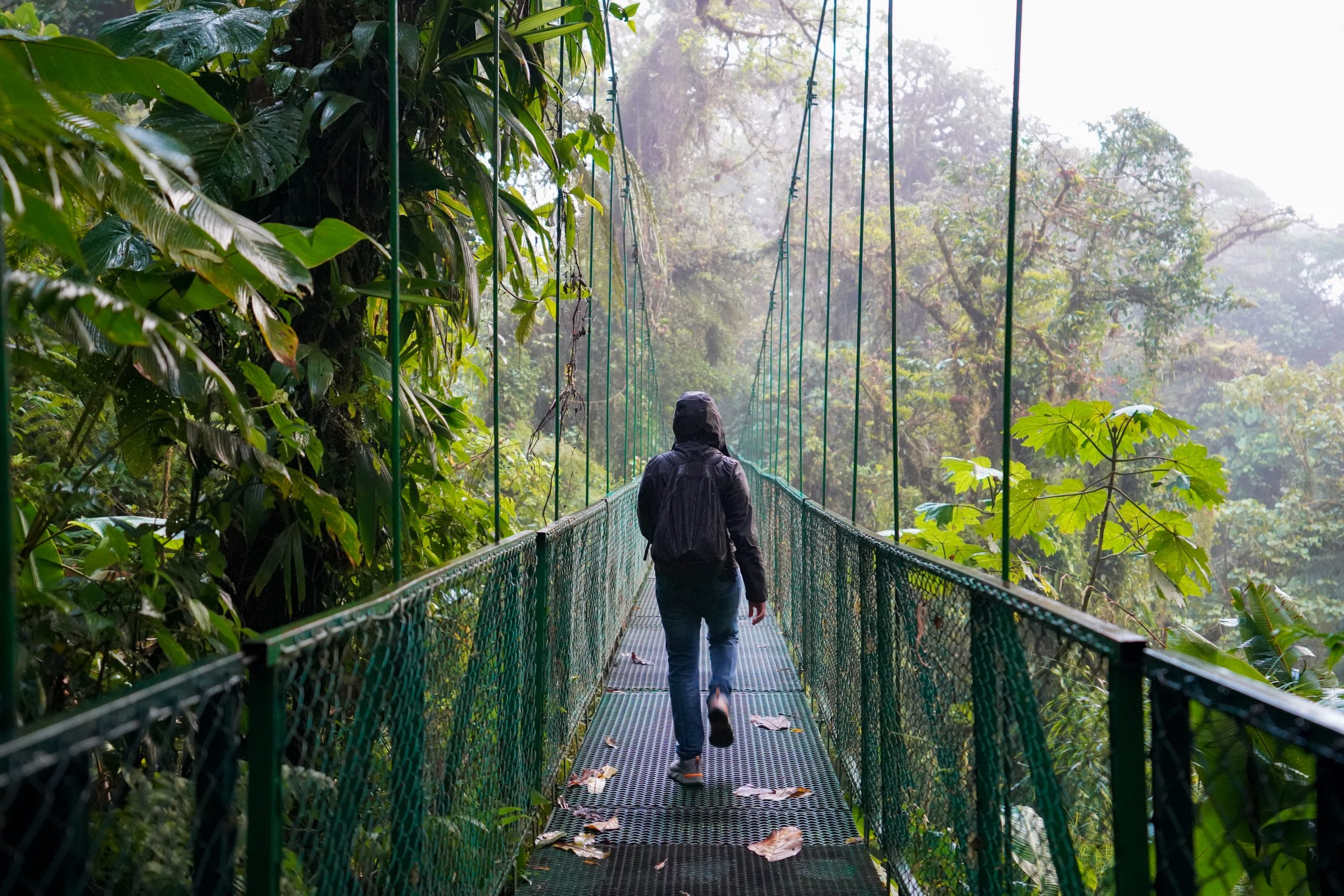 A woman wearing a green jacket crosses a swinging bridge spanning over lush green vegetation in Costa Rica