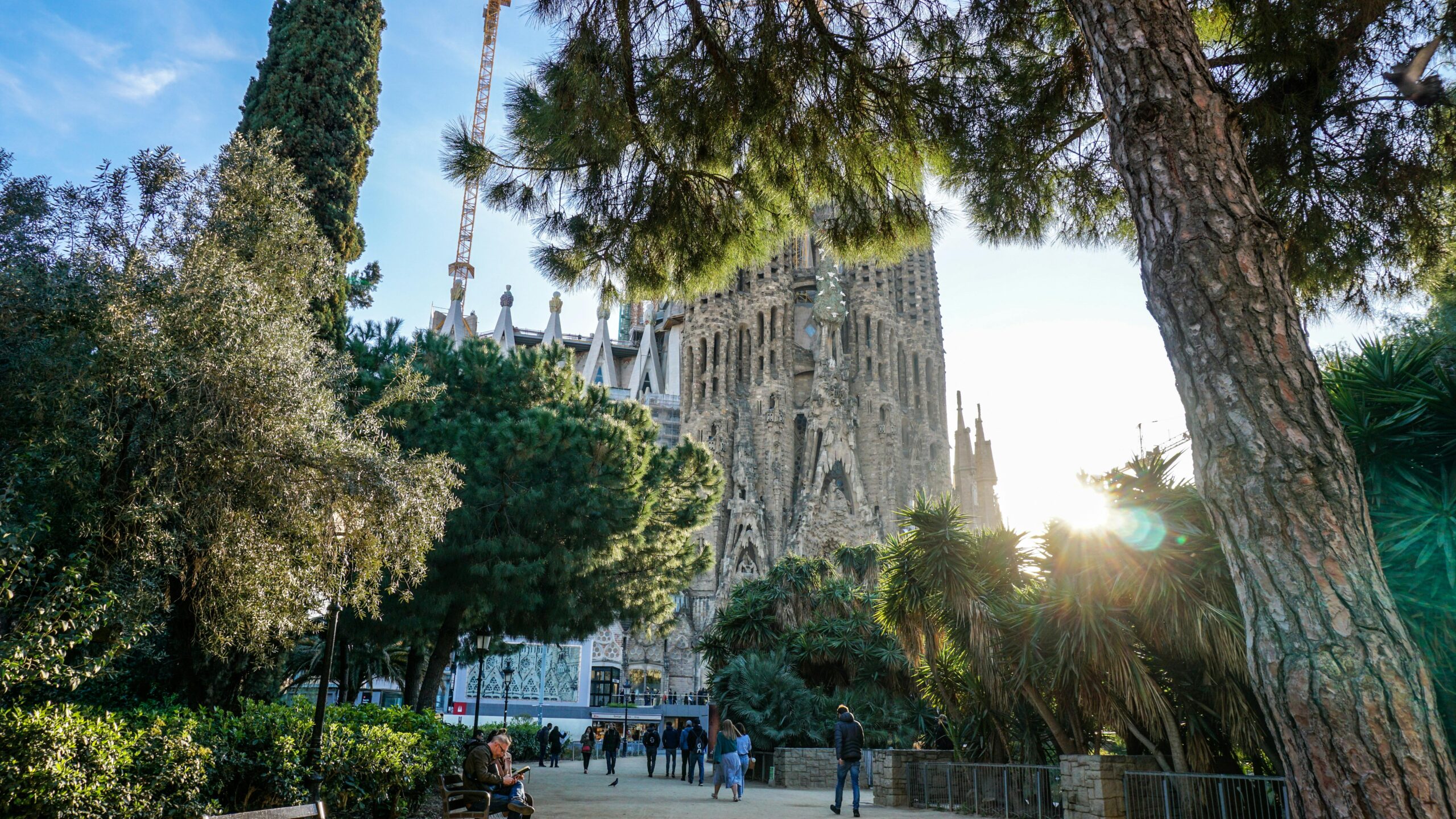 Sunlight filters through the trees at a park in Barcelona, with the iconic Sagrada Família in the background. Visitors stroll along the pathways, enjoying the serene atmosphere and the architectural marvels during the Summer Solstice celebrations.