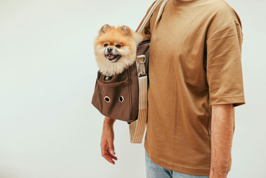 A cheerful Pomeranian peeks from a chic brown pet carrier, effortlessly blending style and convenience. This image captures the essence of modern pet-friendly travel—ensuring safety, comfort, and ease whether strolling through the city or catching a flight.