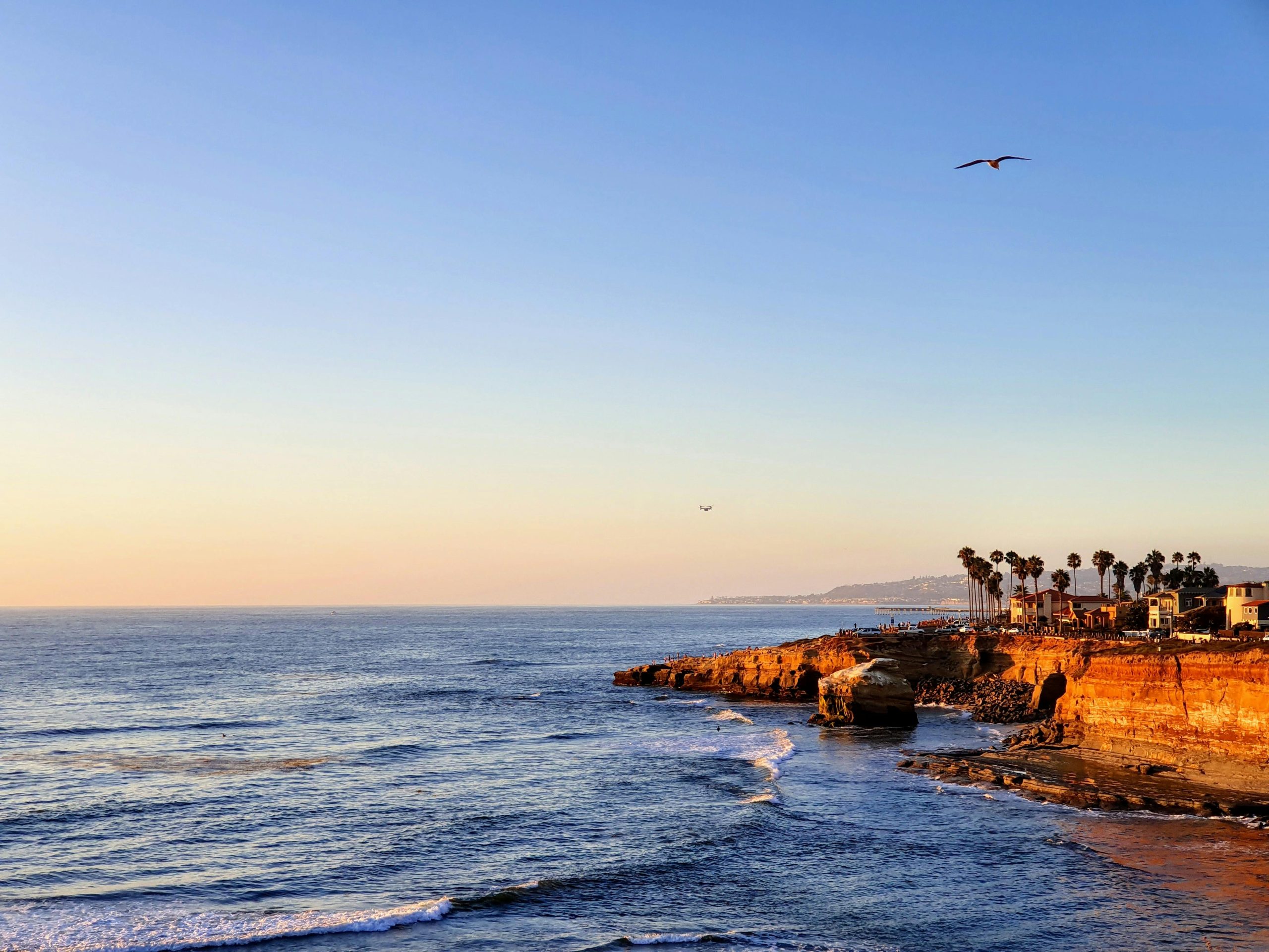 Golden hour view of a coastal landscape with the ocean gently lapping at the shore. Palm trees line the beach, and a bird is flying over the water with the cliffs and buildings in the distance, under a clear blue sky.